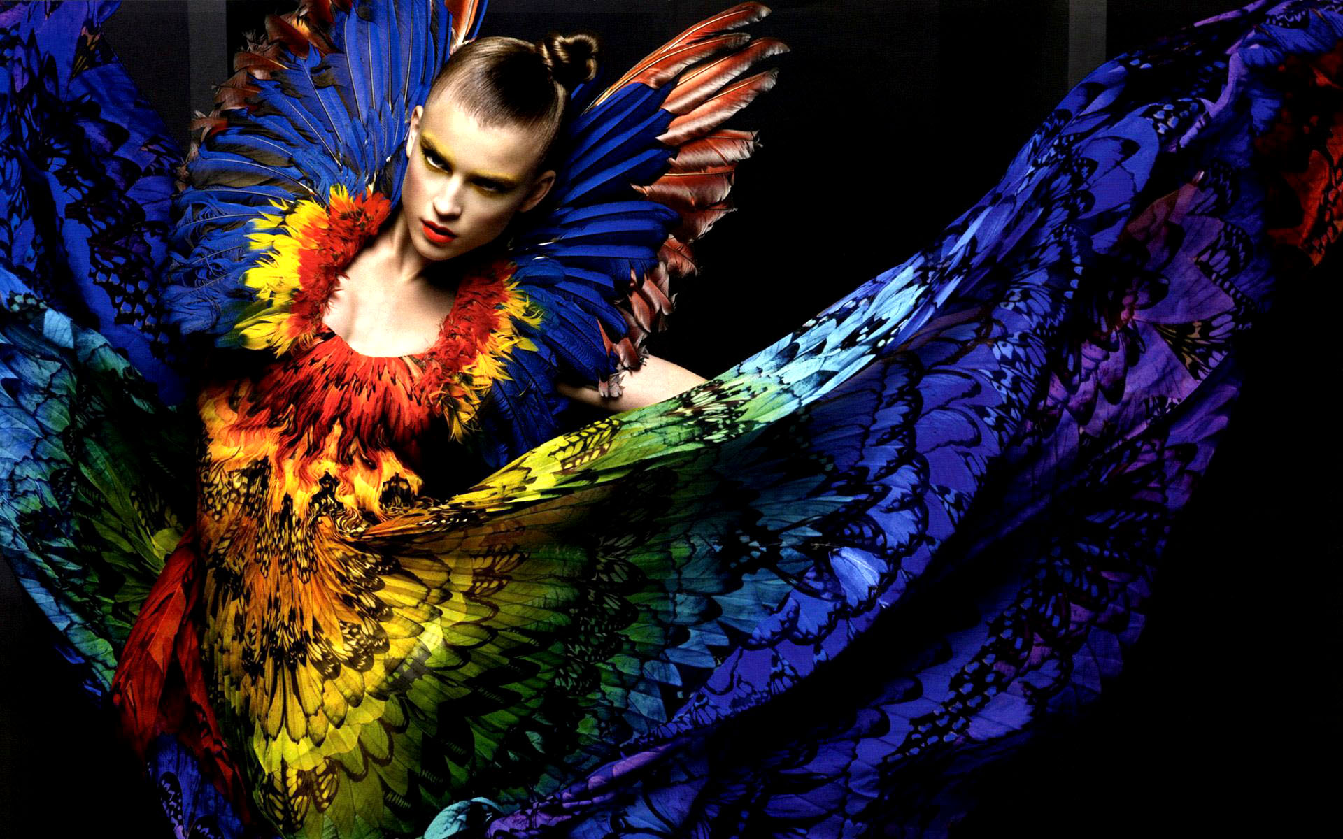 Alexander McQueen butterflies dress
