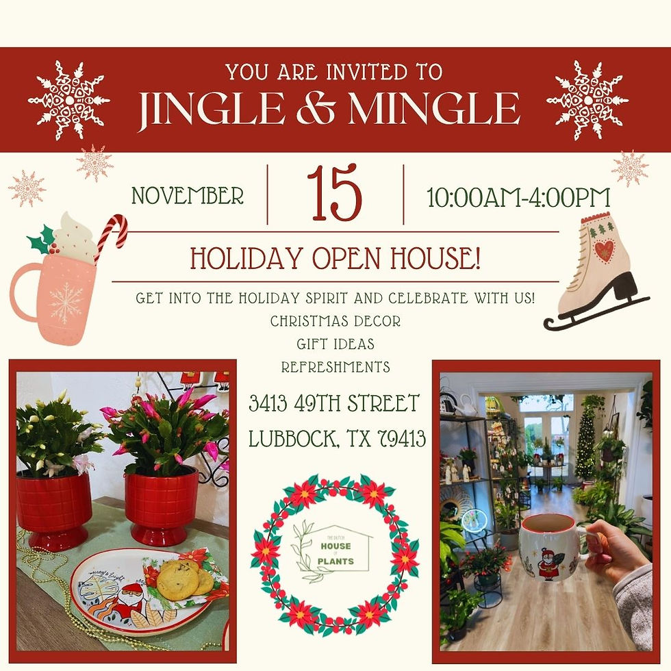 Christmas Open House! Jingle & Mingle