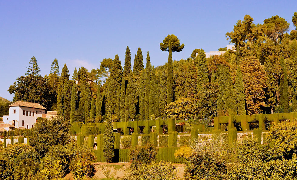 Alhambra images 2014 38.jpg
