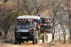 Game drives