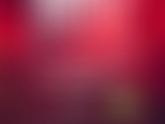 80 JAHRE SVN – DAS JUBILÄUM DER EXTRAKLASSE!