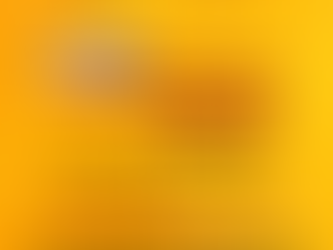 Asignación extemporánea 1er semestre 2019