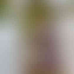 уход за растениями