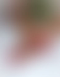 onglerie Antibes - onglerie Toulon . Massage bien-être. Dentelle Chocolat ♥ Nathalie ♥