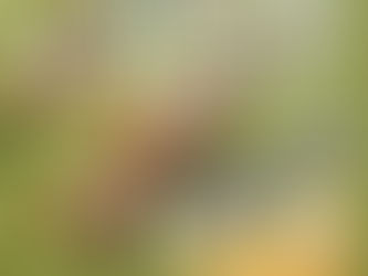 ASSEMBLEIA DO SINDISEP-RJ SOBRE NEGOCIAÇÕES NACIONAIS E O AUMENTO DO AUXÍLIO ALIMENTAÇÃO