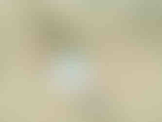 自分のことばを書こうat福島・新白河「SDGsフェア2025」東陽電気工事株式会社様