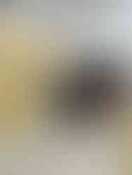 自分のことばを書こうat福島・新白河「SDGsフェア2025」東陽電気工事株式会社様