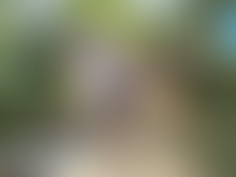 The Patience Pack For SEL Skill Building