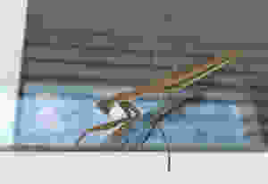 fullsizeoutput_46f8.jpeg