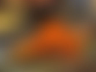 salmon shioyaki ikura set