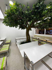 tree in the middle of a cafe 