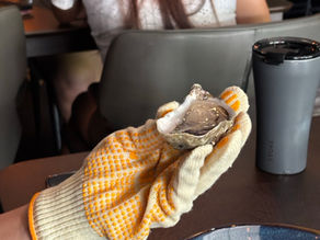 All You Can Shuck Oyster Buffet at The Oyster Cart Singapore