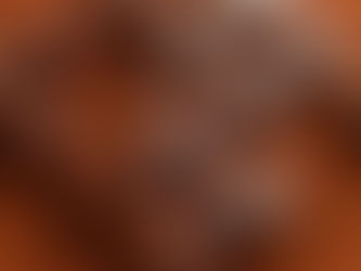 Maison Dufoux, le goût en héritage