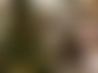 Madera : des cadeaux inspirés pour tous les goûts