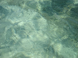 Turquoise Transparency