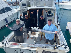 WhatsApp Image 2022-01-13 at 5.17.57 PM.jpeg