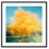 Miniatyrbilde: Oslo Art Prints Art by Douglas Carr Photography