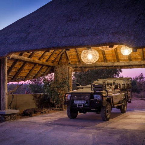 Kruger Photo Safari Experiences