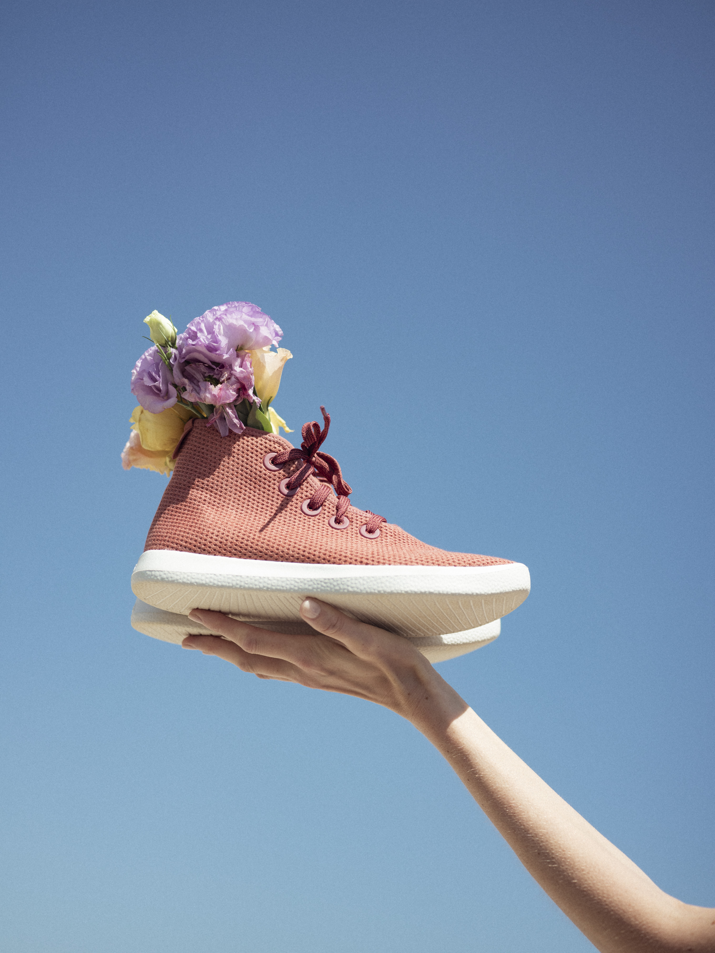 ALLBIRDS