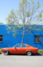 Orange Car by Julie Garner