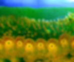 Photomicrography Presentation  