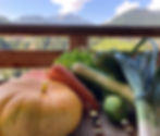 Légumes bio