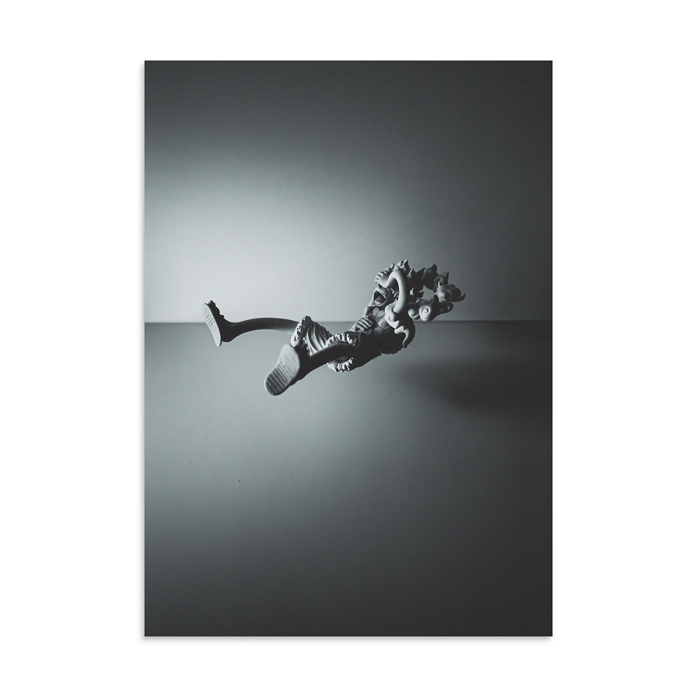 Thumbnail: Falling Luffy B&W Photo