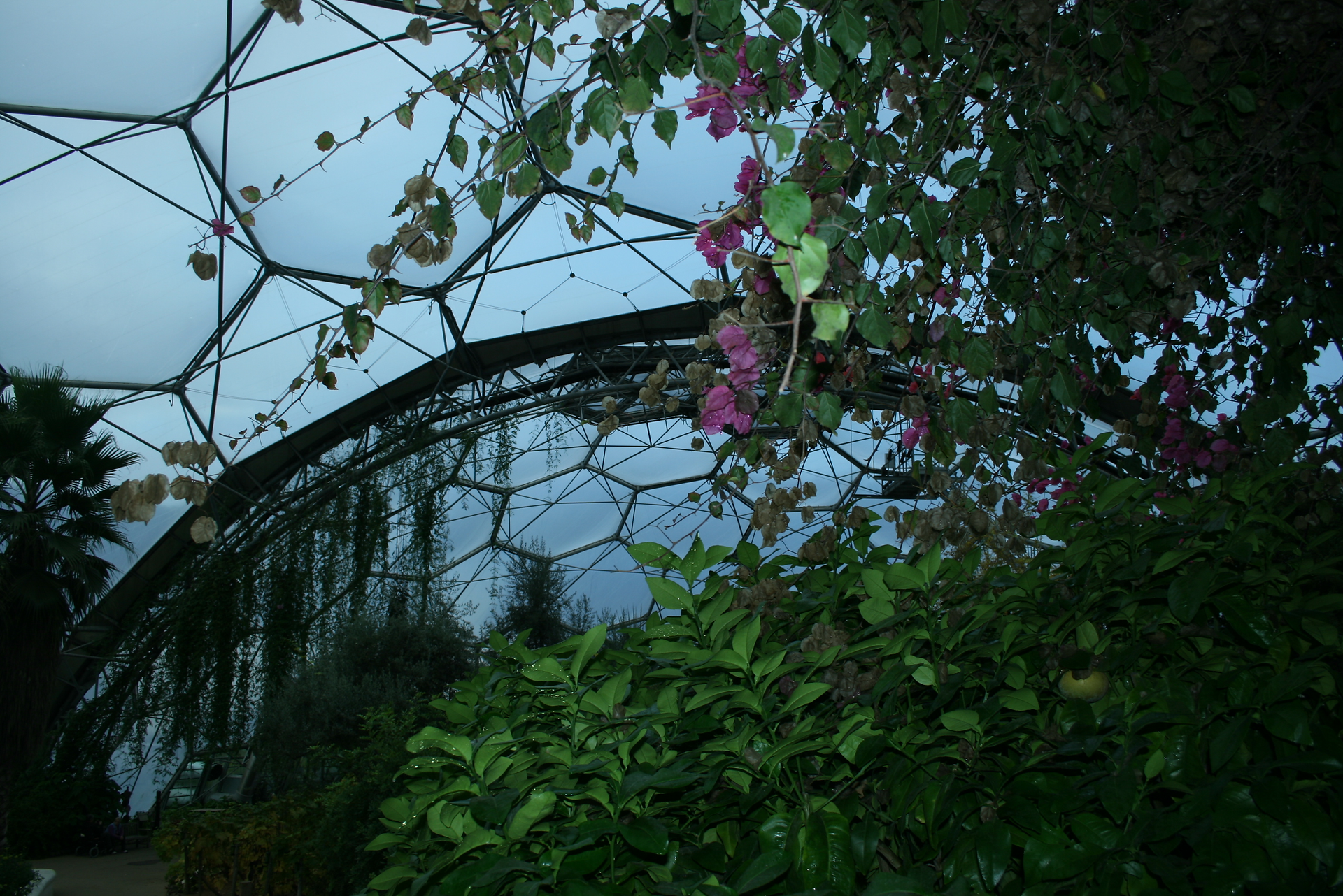 The Eden Project, located in Cornwall, UK, and designed by Architect Michael Pawlyn, interior