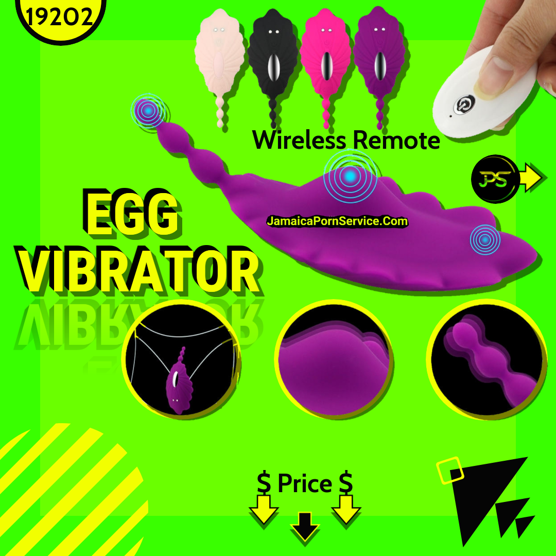 Raffish Seashell Panty Vibrator
