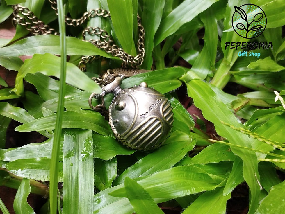 Thumbnail: Golden snitch pocket watch। Harry potter quidditch ball।