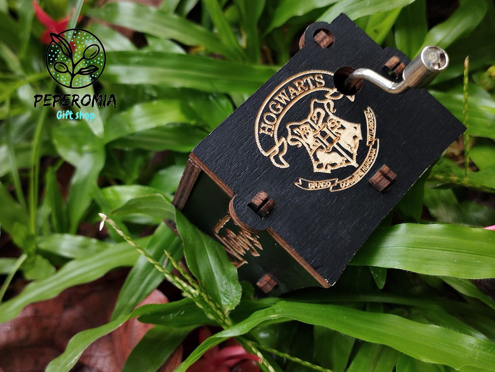 Thumbnail: Harry potter theme song wooden musicbox 