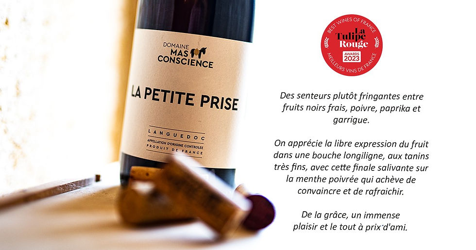 Miniature : Mas Conscience, Petite Prise de.. 2020