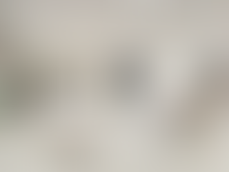 Farmacia Barreca - Borgosesia (VC)