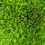Thumbnail: Ascot