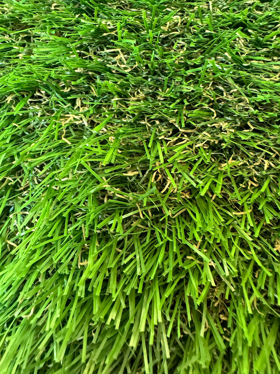 Thumbnail: Ever Green