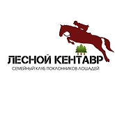 TSTЛЕСНОЙ КЕНТАВР (1).jpg