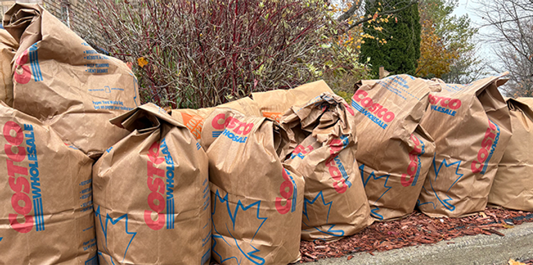 Find your last yard waste pickup date in Toronto and the GTA for 2025, plus what counts as yard waste, non-bagging options, and key rules by municipality.