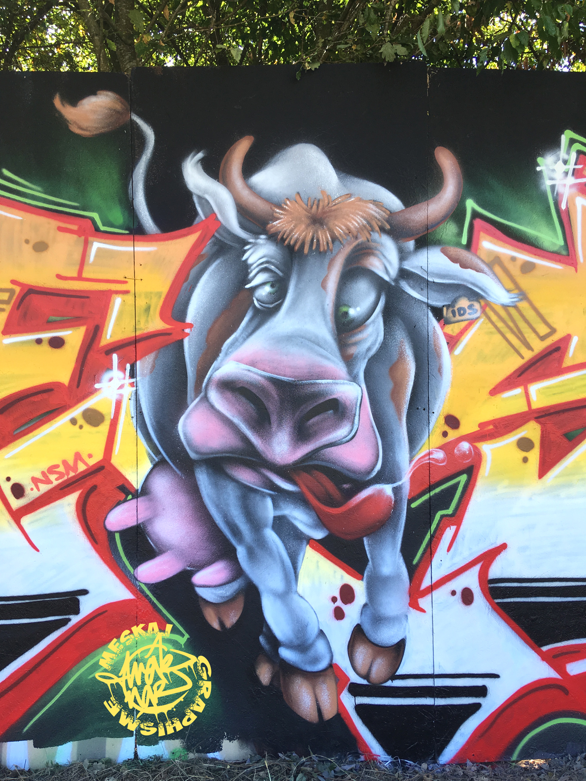 Festival DBZ Plelan le grand