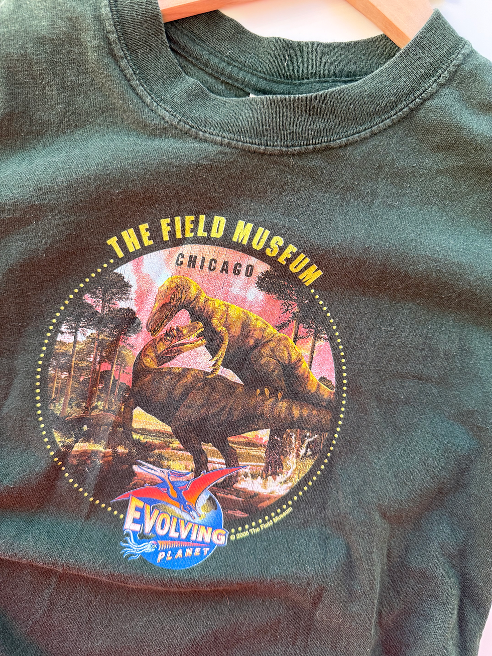 Thumbnail: Vintage Chicago Museum Dino Tee- Age Approx 6/7 Years