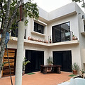Jungle House.jpg