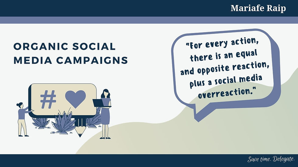 Social Media Sample Porfolio