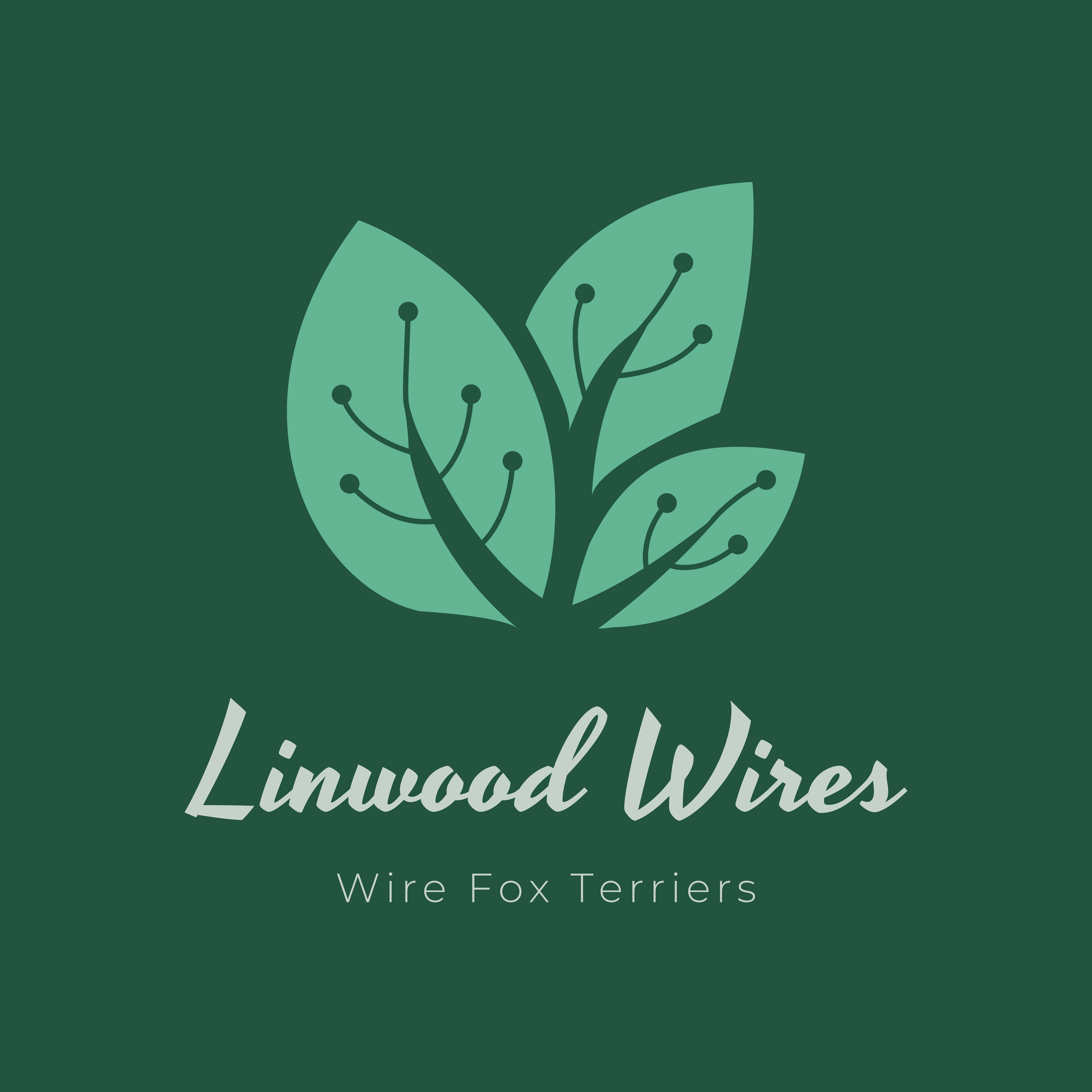 Linwood Wires logo