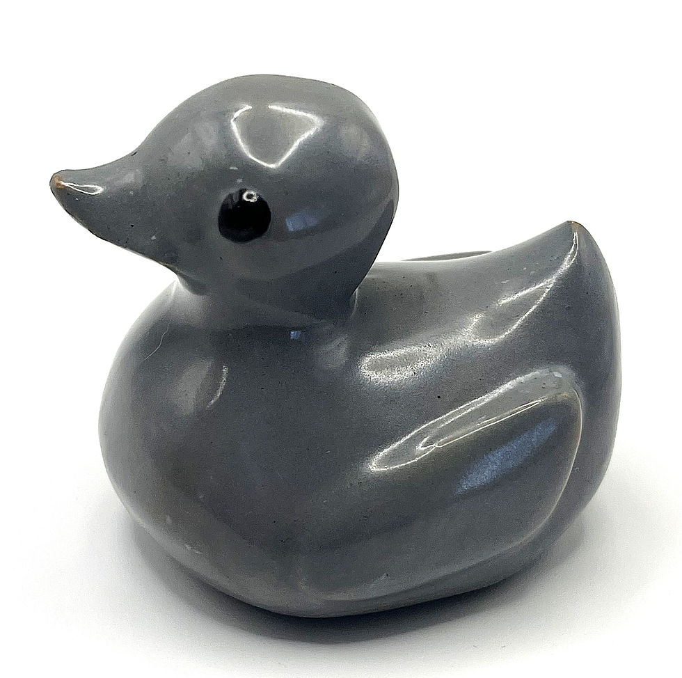 Thumbnail: Duck... Duck... Grey Duck!