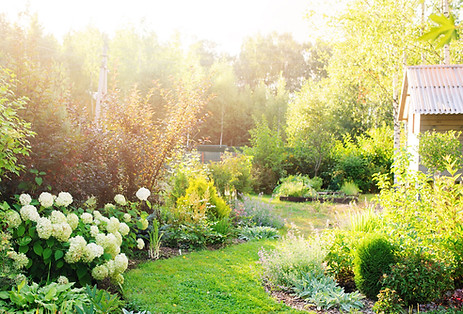 sonniger Garten