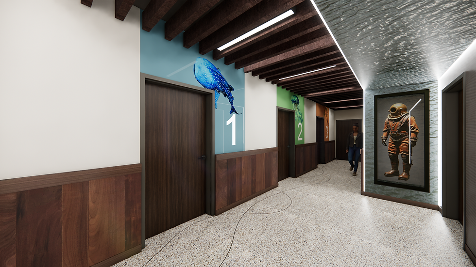 Patient Corridor