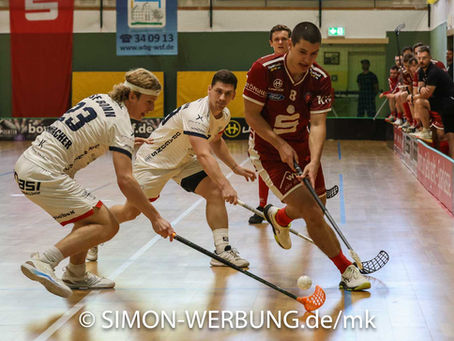 Auf und ab - Rückblick 1. Herren Bundesliga