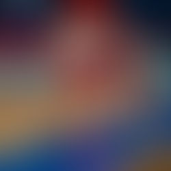 Rückblick Herrenbundesliga - Playoffs