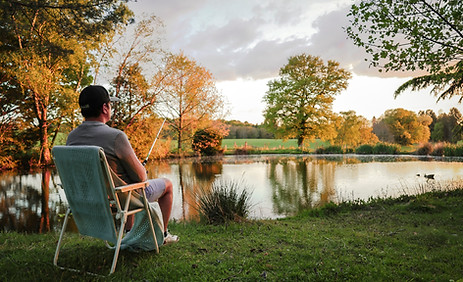Grand jardin autour du gîte La Lande à Firbeix, idéal pour se promener
