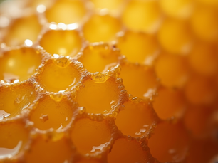 Top Benefits of Using Locally Sourced Honey Bees