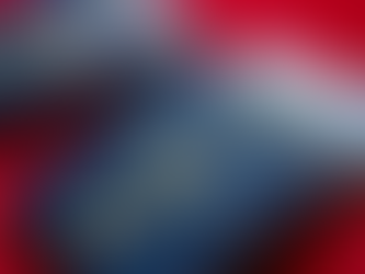 What Immigration Consultants Can Do That You Can’t Do Alone